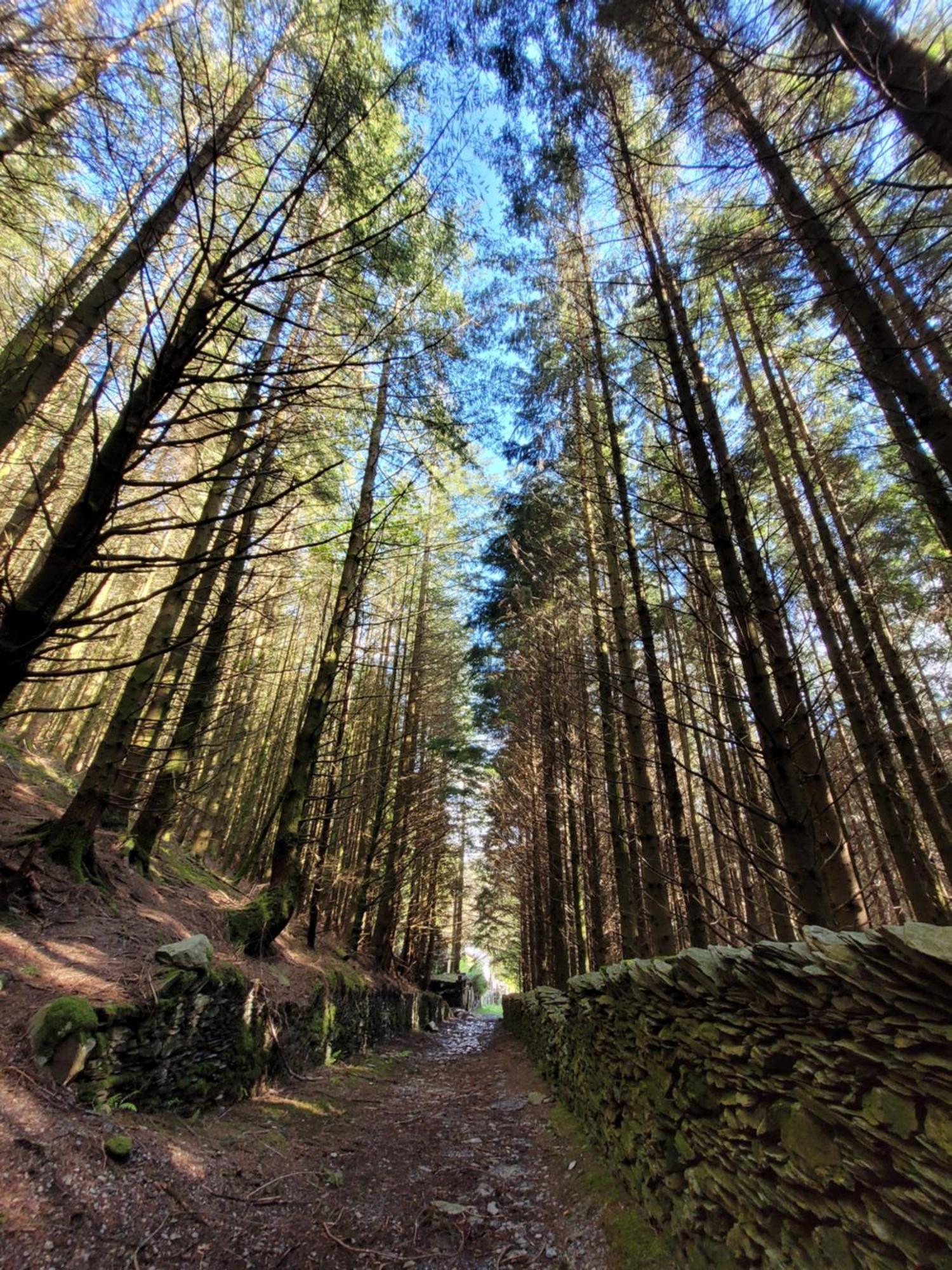 The Granary Corris On The Edge Of The Dyfi Forest Экстерьер фото