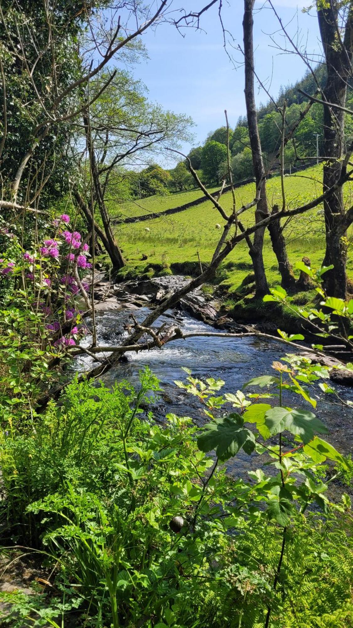 The Granary Corris On The Edge Of The Dyfi Forest Экстерьер фото
